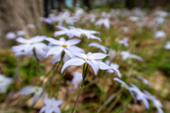 大阪城公園にて