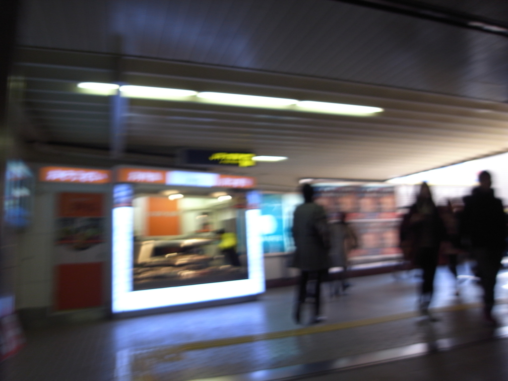 Ｗａｌｋｉｎｇ　Ｐｈｏｔｏ