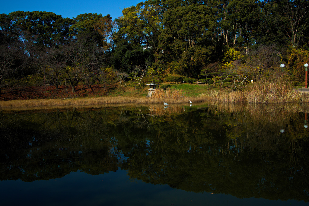 鶴見緑地公園にて