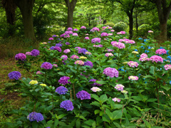 大阪城公園にて