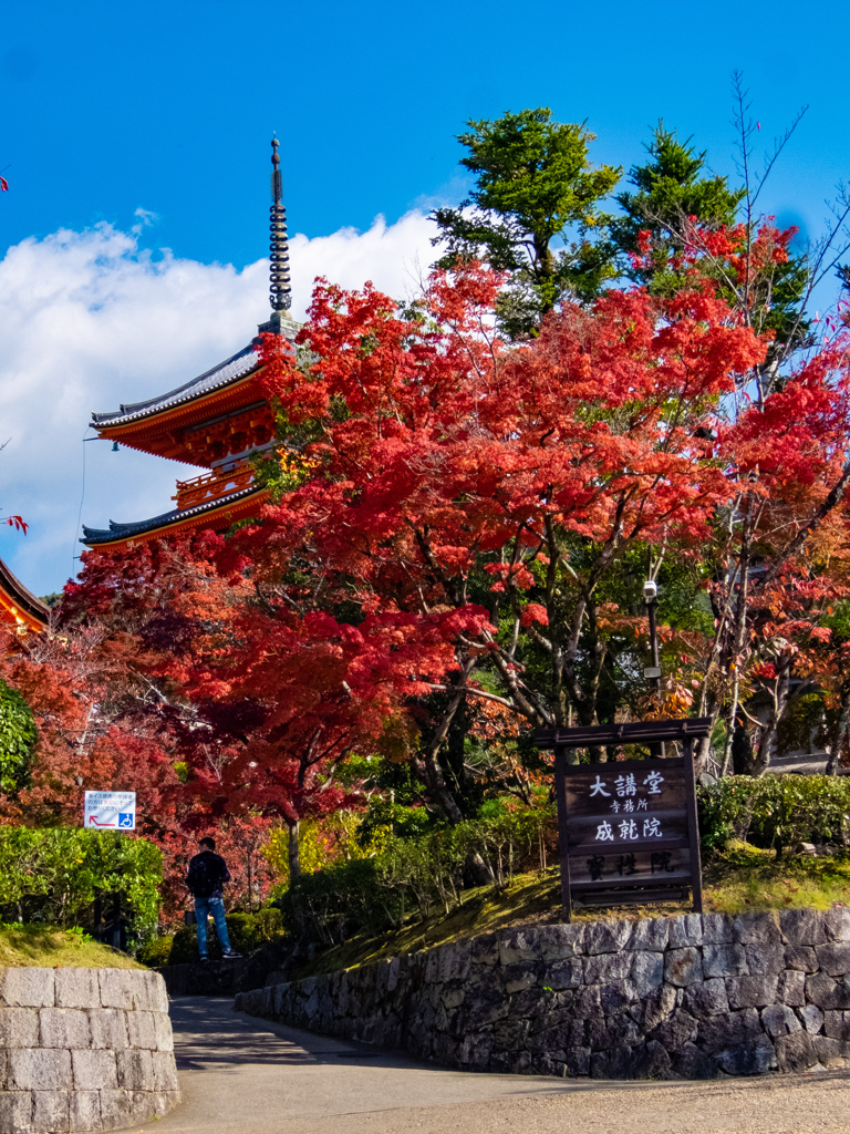 清水寺
