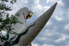 万博記念公園にて