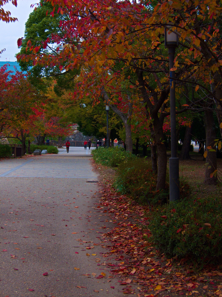 晩秋　大阪城公園にて