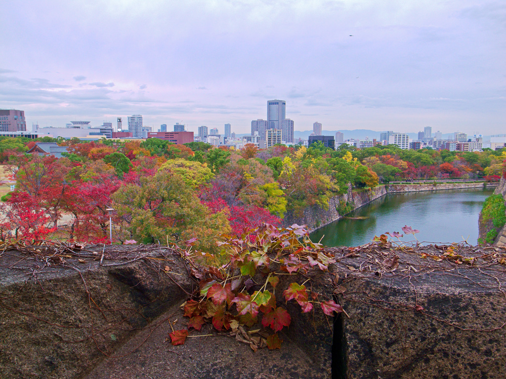 大阪城公園にて