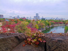 大阪城公園にて