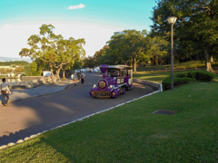 万博記念公園にて