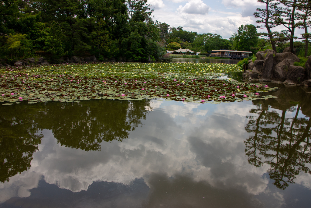 長居植物園にて