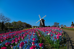 鶴見緑地公園にて