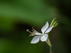 新梅田シティにて