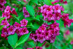 大阪城公園にて