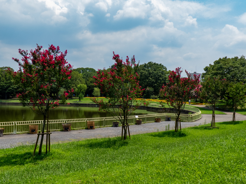 長居植物園にて
