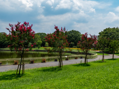 長居植物園にて