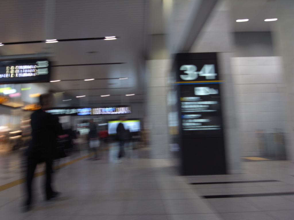 Ｗａｌｋｉｎｇ　Ｐｈｏｔｏ