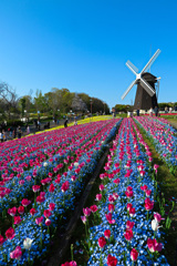 鶴見緑地公園にて