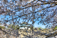 大阪城公園にて