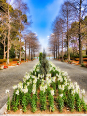 長居植物園にて