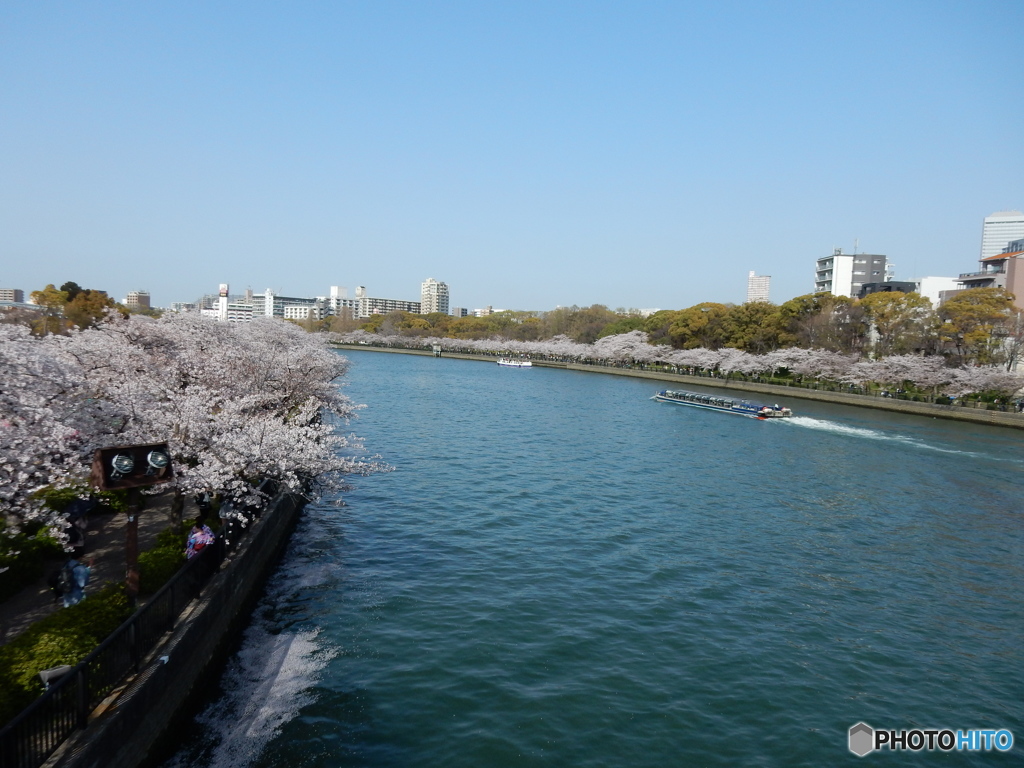 毛馬桜ノ宮公園