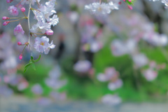 大阪城公園にて