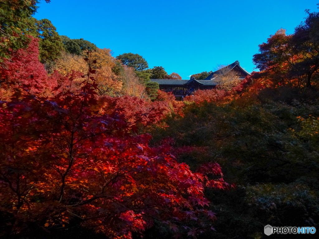 東福寺にて