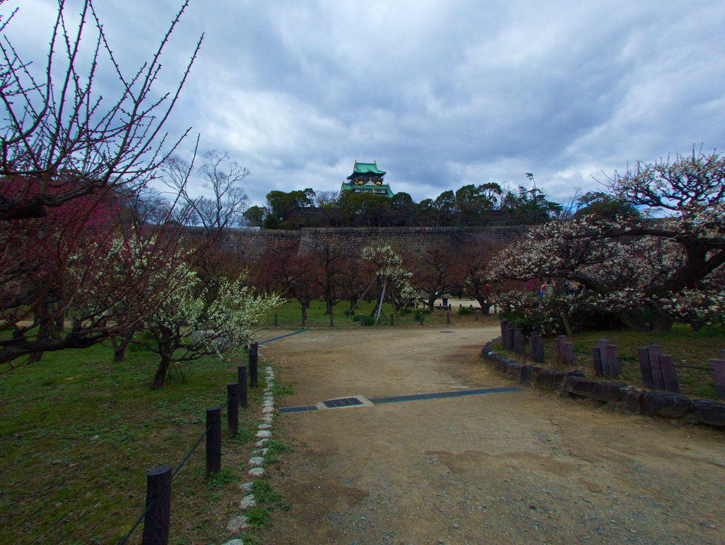 大阪城公園　梅園にて