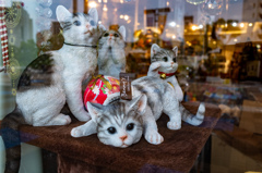 ショーウィンドウ