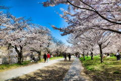 大阪城公園にて