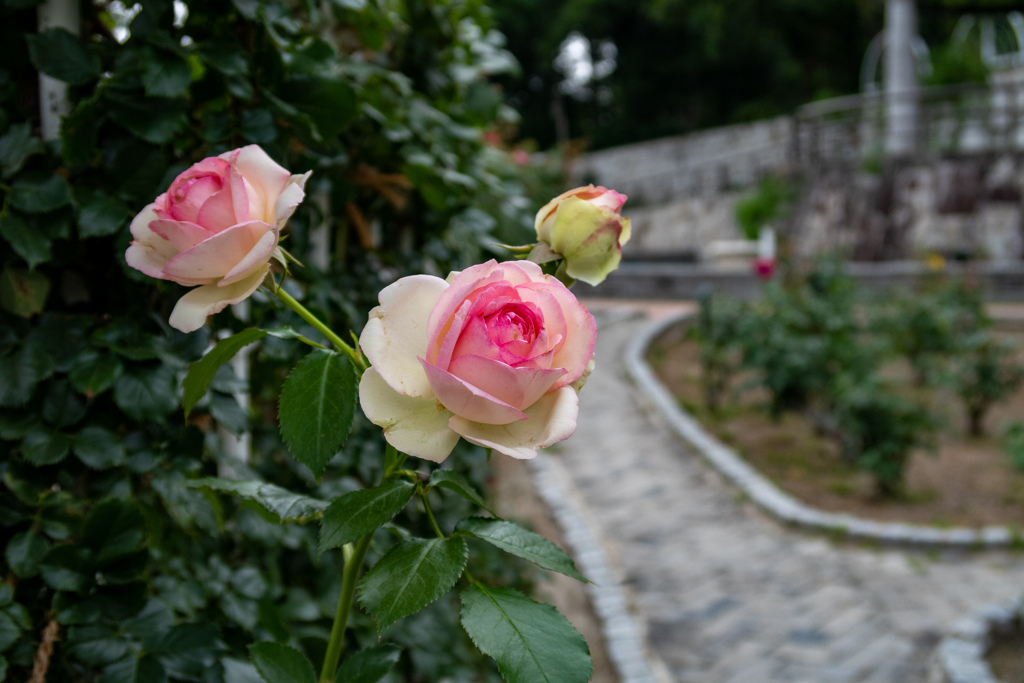 鶴見緑地公園にて