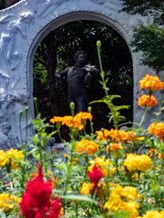 バイオリン弾き