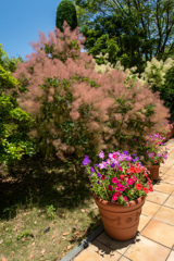 長居植物園にて