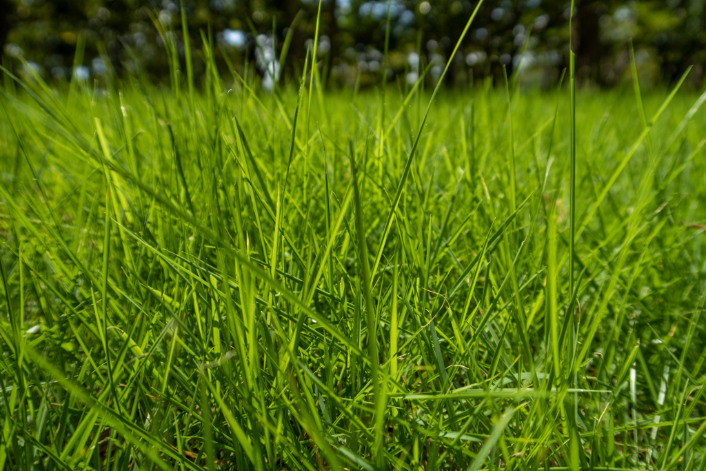 中に入ってみた