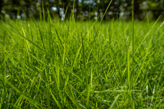 中に入ってみた