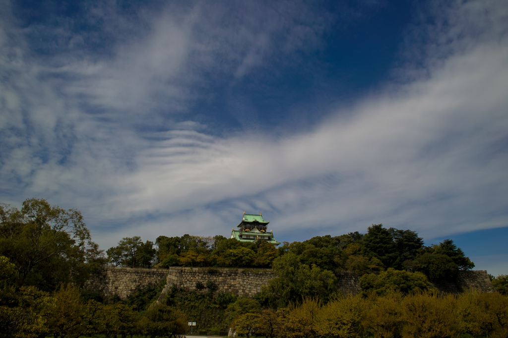 SDIM2137