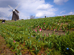 鶴見緑地公園にて