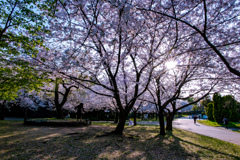 鶴見緑地公園にて