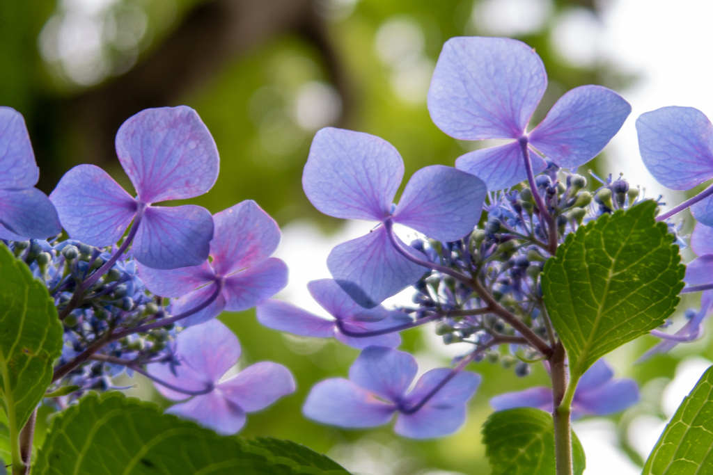 下から撮ってみた