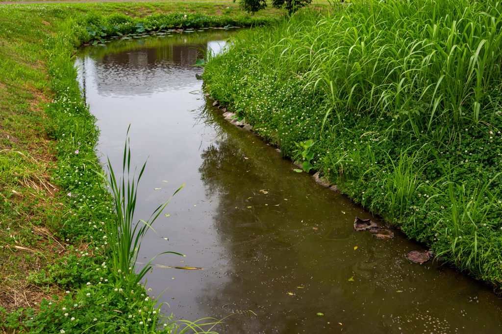 奈良　今井町の街並み