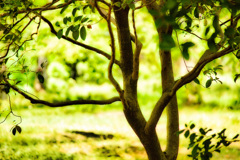 日差しをよけて