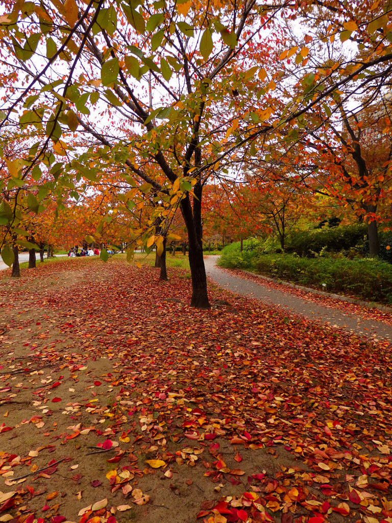 大阪城公園にて