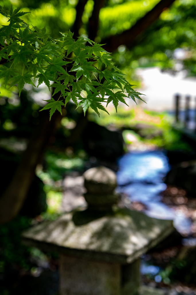 鶴見緑地公園にて