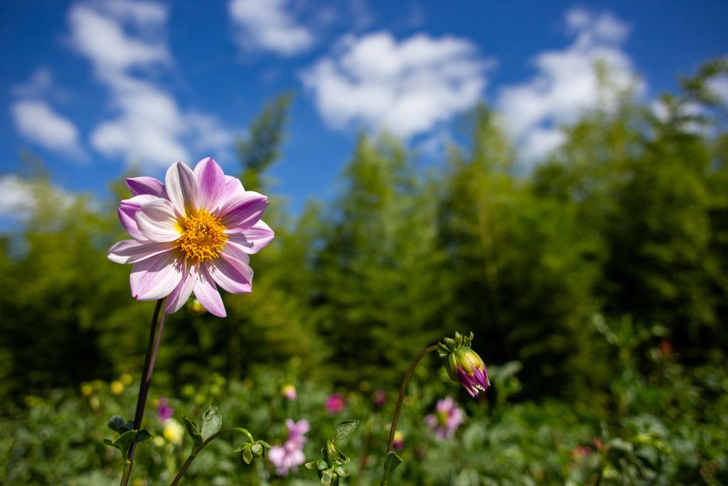 長居植物園にて