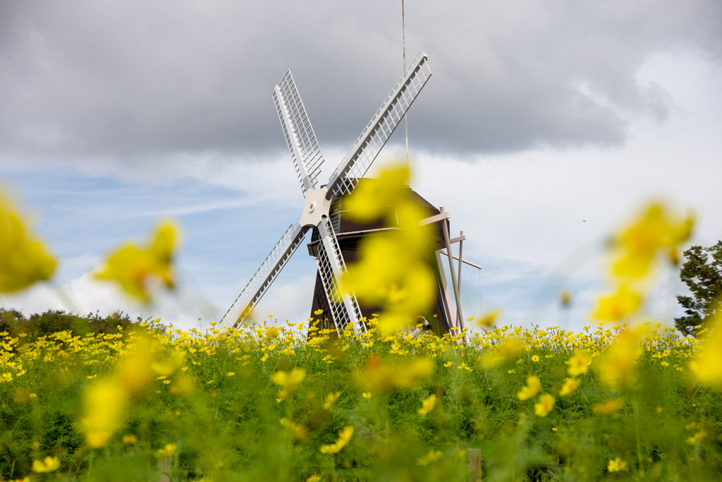 鶴見緑地公園にて