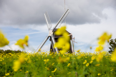 鶴見緑地公園にて