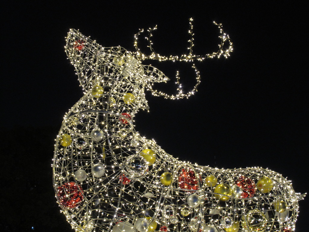 光のトナカイ(光のルネサンス)