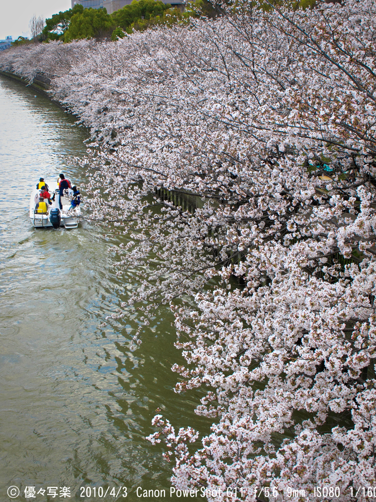 毛馬桜ノ宮公園