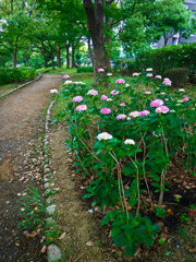 大阪城公園にて