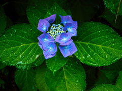 大阪城公園にて