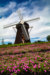 鶴見緑地公園にて