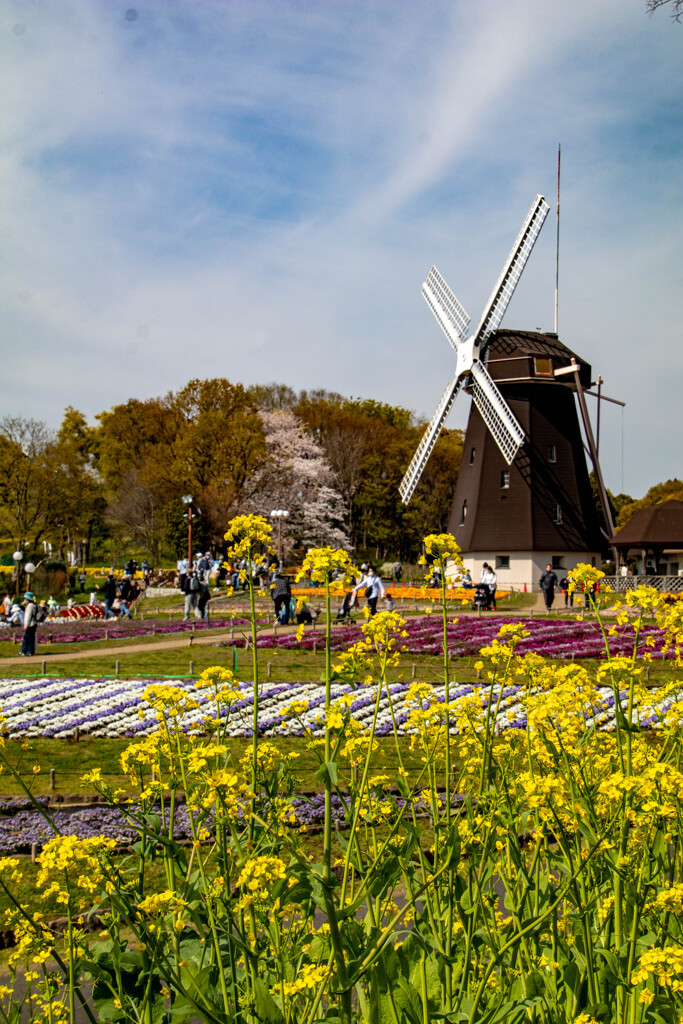 鶴見緑地公園にて