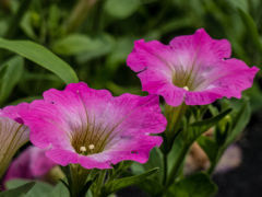 鶴見緑地公園にて