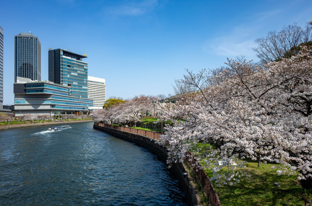 大阪城公園にて